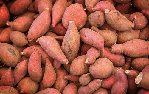 最強防癌食物排行 紅薯能防乳癌蘑菇防胃癌